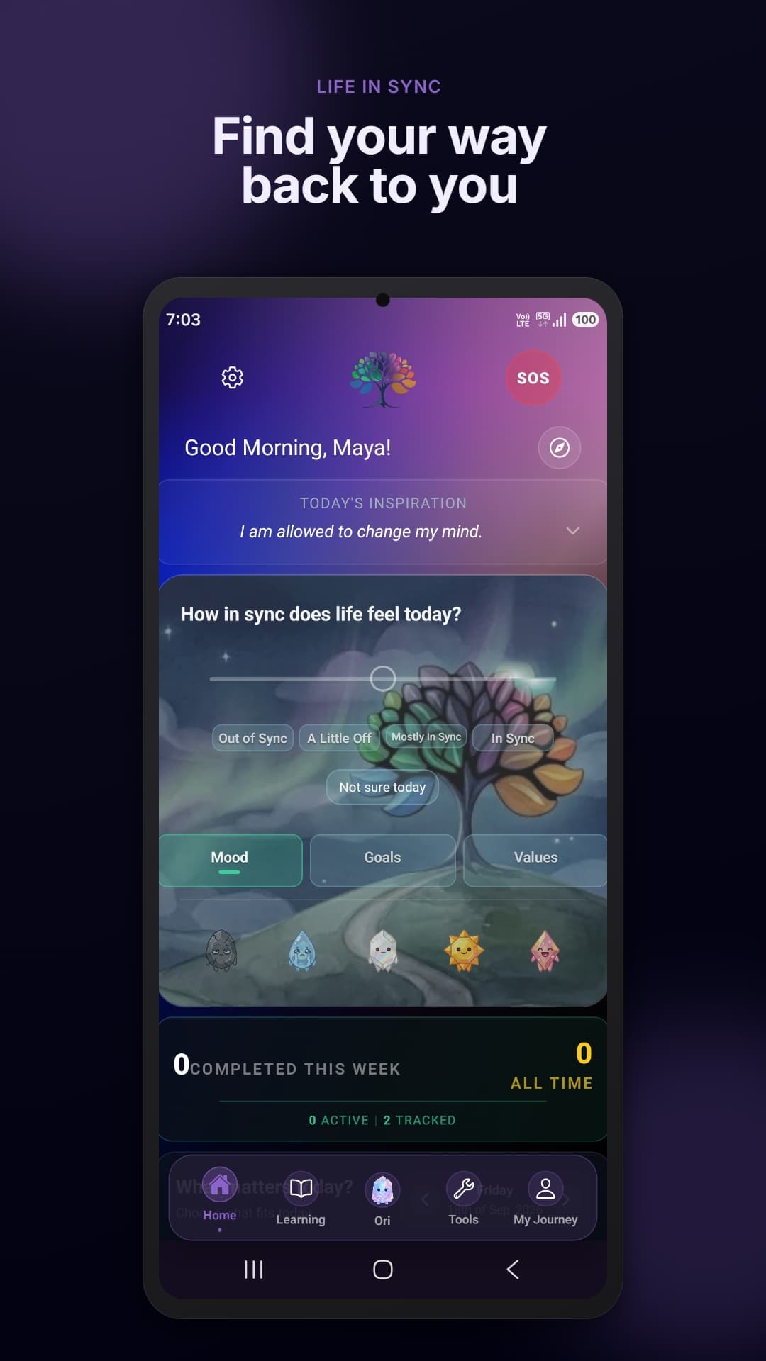 Jenora daily compass and check-in