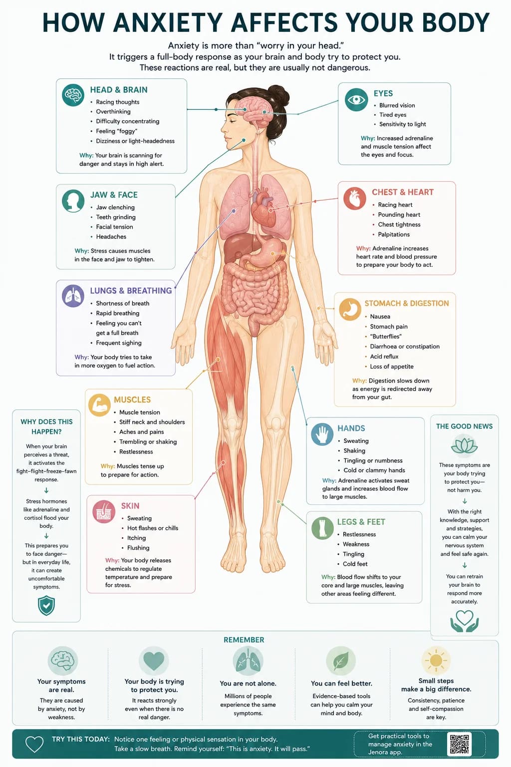 How anxiety affects your body