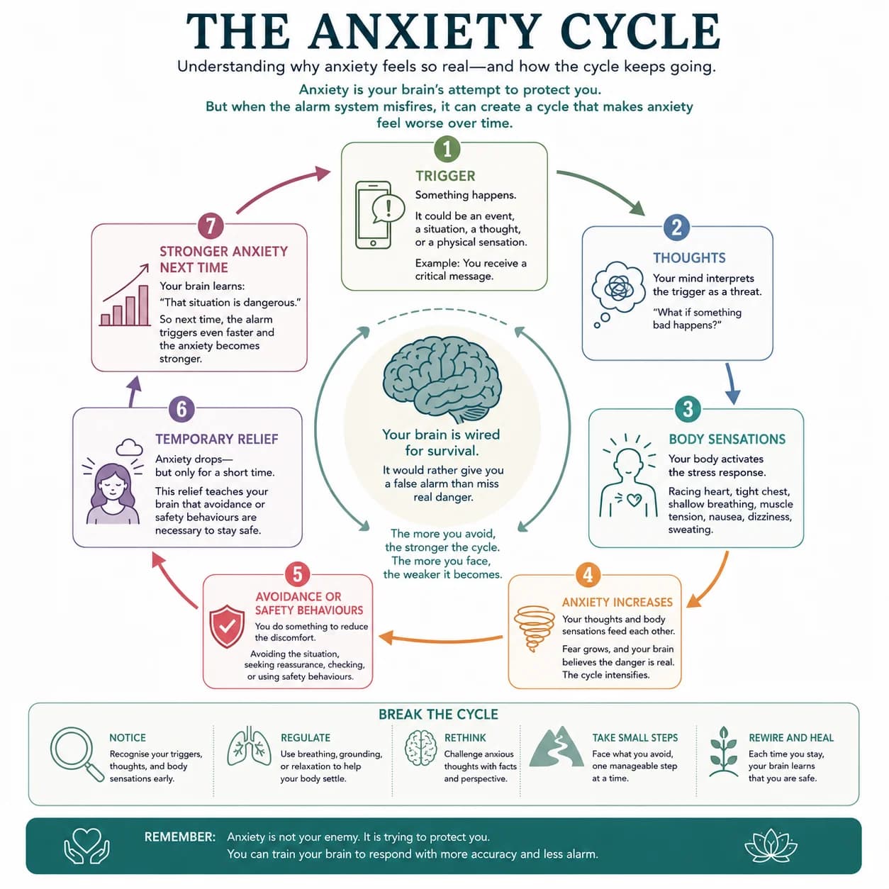 The anxiety cycle