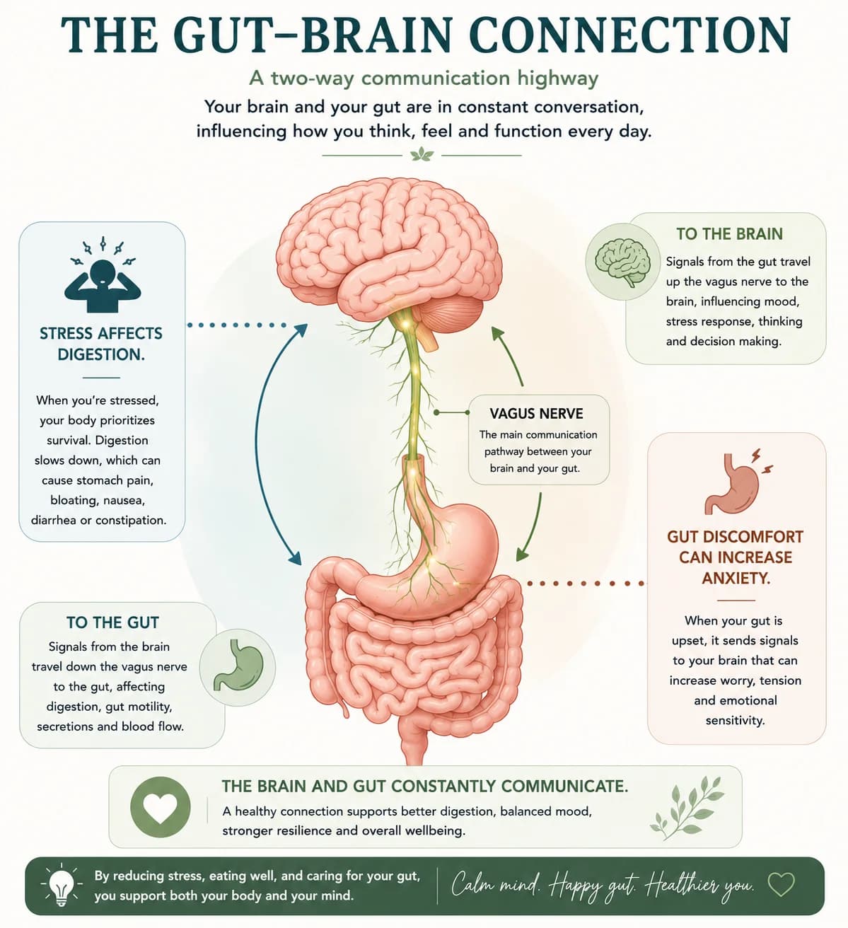 The gut-brain connection