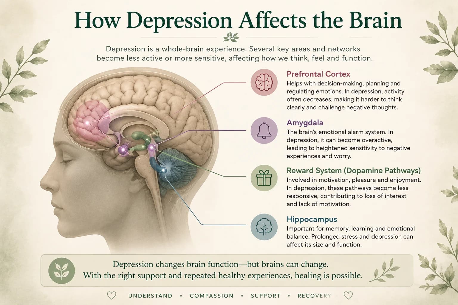 How depression affects the brain across networks and systems