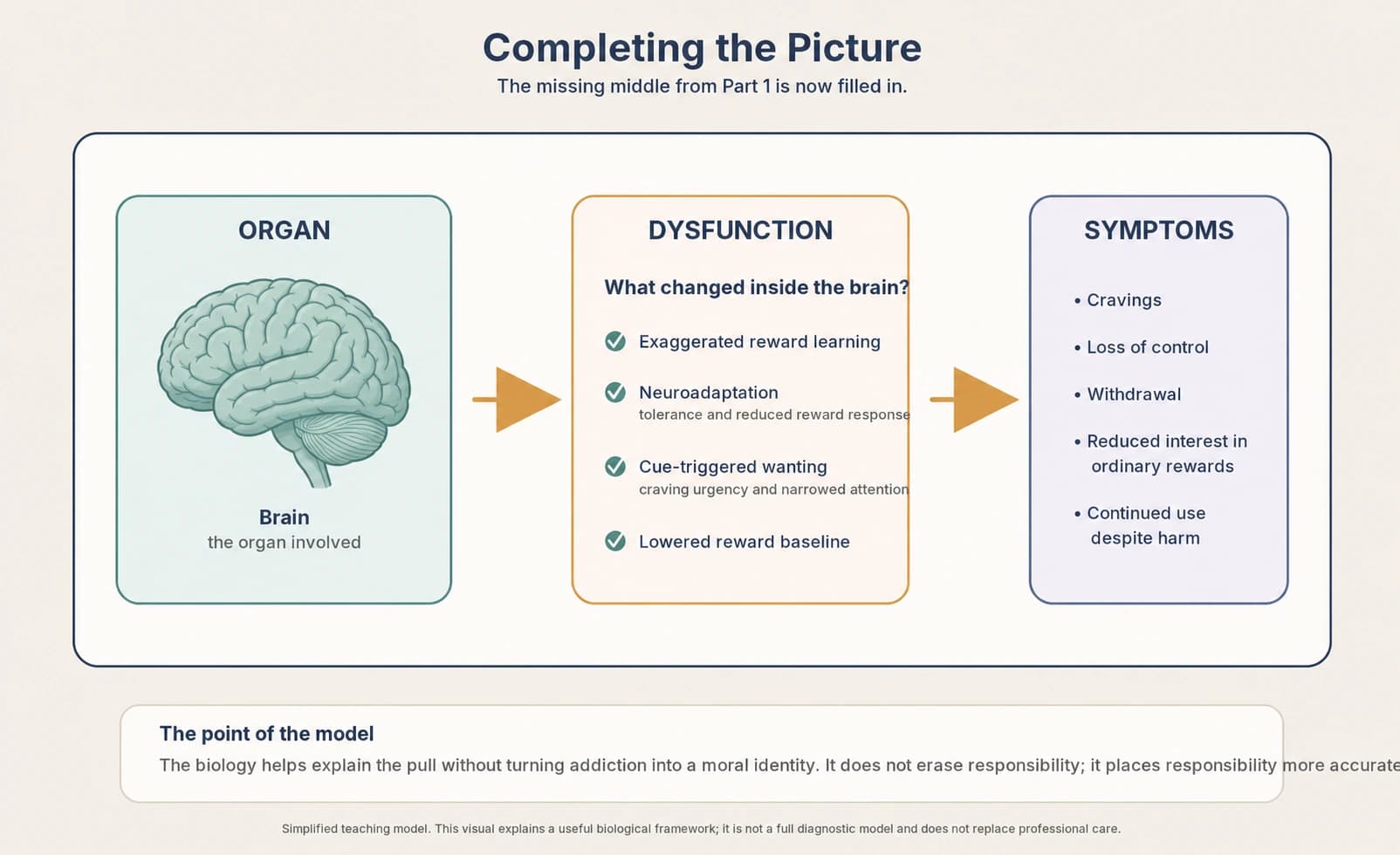 Completed addiction model showing exaggerated reward learning, neuroadaptation, lowered baseline, and cue-triggered wanting